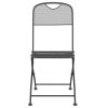 Folding Patio Chairs 2 pcs Expanded Metal Mesh Anthracite